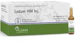 LEDUM HM Injekt Ampullen 50 St