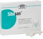 SIBOSAN Kapseln 30 St
