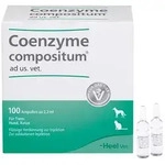COENZYME COMPOSITUM ad us.vet.Ampullen 100 St