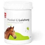 PHA Muskel & Leistung f&uuml;r Pferde Pulver 850 g