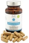 FISETIN Kapseln 30.6 g