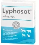 LYPHOSOT ad us.vet.Ampullen 5 St