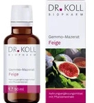 GEMMO-MAZERAT Feige Dr.Koll Ficus carica Tropfen 50 ml