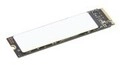 Lenovo BTO/Lenovo TP 1 TB PCIe G4 M.2 SSD (4XB1M86955)
