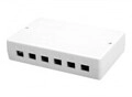 DIGITUS Geh&auml;use mit modularen Eins&auml;tzen wei&szlig; RAL 9010 6 Ports (DN-93705)
