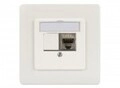Assmann Digitus Professional Frontabdeckung 2 Ports (DN-93832)