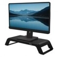 Fellowes Hana Lt Monitor Riser Black (100016996)