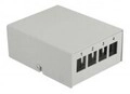 Delock Keystone Patchpanel 4 Port grau Patch-Panel Grau (43407)