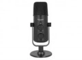 Delock Mikrofon USB Schwarz 48 KHz (66822)