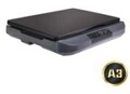 Avision FB5100 Flachbett-Scanner A3/USB3.2/600dpi/4 Sek.pro Seite A3 USB 3.0