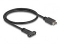 Delock USB 3.1 E Key A 20 Pin Stecker zu C Buchse Einbau 50 cm Digital/Daten 0,5 m