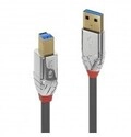 Lindy USB 3.0 Typ A an B Kabel Cromo Line 2m Digital/Daten (36662)