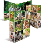 HERMA 19252, HERMA Motiv-Ordner A4 Animals Nagetiere Halte&ouml;se Lagerung Karton