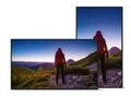 NEC Display NEC M502 50IN LFD UHD 550cd/m2 D-L (60006054)