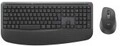 Logitech Signature Comfort Plus MK880 GRAPHITE DEU LOGITECH (920-014024)