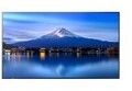 NEC Display NEC P436 43IN LFD UHD 700cd/m2 D-LE (60005911)