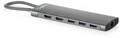DIGITUS USB-C Docking Station 11-Port (DA-70923)