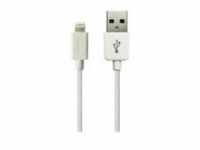 SANDBERG Lightning-Kabel USB M bis Lightning W 2 m für Apple iPad/iPhone/iPod
