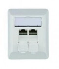 Teleg&auml;rtner Karl G&auml;rtner AMJ45 8/8 K AP Cat.6A Wanddose RJ-45 X 2 Alpine White