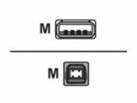 equip USB-Kabel USB M bis Typ B M 2.0 1.8 m Schwarz (128860)