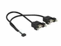 Delock USB-Kabel intern auf extern 10-poliger USB-Header W bis USB W 25 cm Schwarz