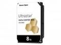 Western Digital WD Ultrastar DC HC320 HUS728T8TALE6L4 Festplatte 8 TB intern 3.5 "