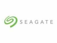 Seagate Skyhawk AI interne Festplatte 10 TB HDD Video bis zu 64 Kameras 3.5 Zoll 256