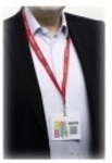 Durable Namensschild wei&szlig; Packung mit 100 VISITOR BADGE (825802)