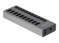 Delock Hub 10 x SuperSpeed USB 3.0 Desktop (63670)