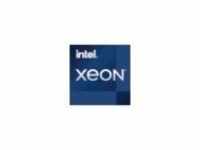 Intel Xeon E-2336 2.9 GHz 6 Kerne 12 Threads 12 MB Cache-Speicher LGA1200 Socket OEM
