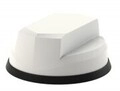 Panorama Antennas 6 dBi 0.617-0.96/1.71-6 GHz 50 Ohm Omnidirektionale Antenne...