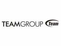 Team Group 512 GB SSD MEGA FASTRO MS150 M.2 NVMe Gen3 x4 2400/1200 Solid State Disk
