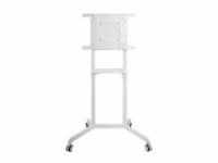 Neomounts by Newstar Mobile Flat Screen Floor Stand Weiß (NS-M1250WHITE)