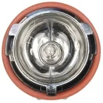 10x Stück SUPER WHITE H10W BA9s 12V 10Watt Glühbirnen Halogen Lampen