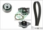 Wasserpumpe + Zahnriemensatz Schaeffler INA 530 0258 31