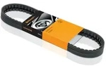 Keilrippenriemen Continental CTAM 9PK2580