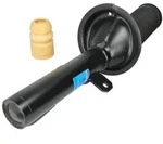 Sto&szlig;d&auml;mpfer SACHS 313 503