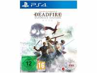 Pillars of Eternity 2 Deadfire Ultimate Edition - PS4 [EU Version]