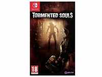 Tormented Souls 1 - Switch-Modul