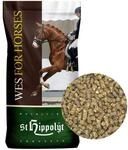 St. Hippolyt WES Power Crunch zuckerarmes, energiereiches, proteinreiches