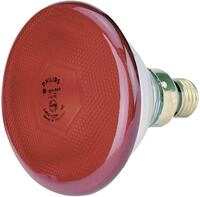 Philips W&auml;rmelampe 175 W Stromsparversion, 22303