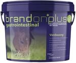 St. Hippolyt Medvetico Brandon plus Gastrointestinal mit Wirkstoffen f&uuml;r Magen und