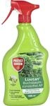 Protect Garden Lizetan Buchsbaumz&uuml;nslerfrei AF 1 l Flasche gegen...