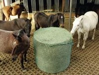 KERBL Heunetz 150 x 150 cm f&uuml;r Rundballen, Maschenweite 45 x 45 mm, zur Bodenablage,