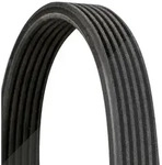 Continental Ctam Keilrippenriemen [Hersteller-Nr. 6DPK1697] f&uuml;r BMW