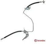 Brembo Bremsschlauch [Hersteller-Nr. T59071] f&uuml;r Opel, Vauxhall