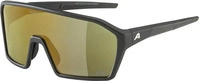 Alpina A8673032, Alpina RAM Q-Lite Sportbrille-Schwarz-One Size, Kostenlose