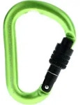 Salewa Screw G2 HMS-Karabiner-Oliv-Dunkelgr&uuml;n-S