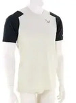 Dynafit Transalper Herren Funktionsshirt-Beige-M