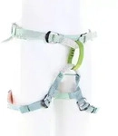 Petzl Macchu Kinder Klettergurt-Gr&uuml;n-One Size